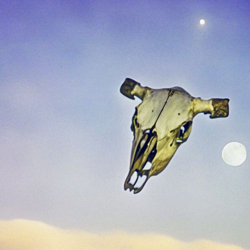 Skull Moon