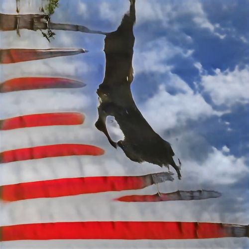 Bones In The Sky Marfa No. 13