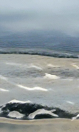 California Consciousness