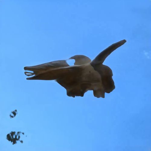 Bones In The Sky Marfa No. 196