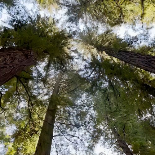 Bard Ionson Fine Art